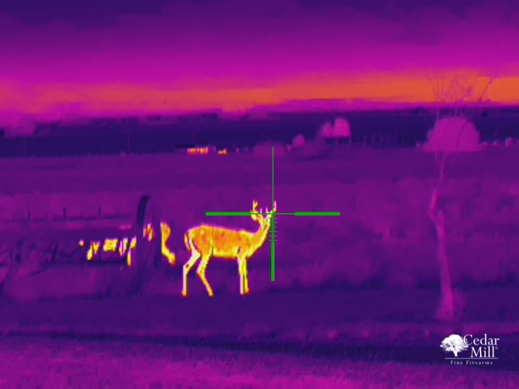 X-Vision Impact 150 Thermal Scope - Advanced Thermal Imaging and Hotspot Tracking for Hunting: Deer Viewed Through The Device at Night