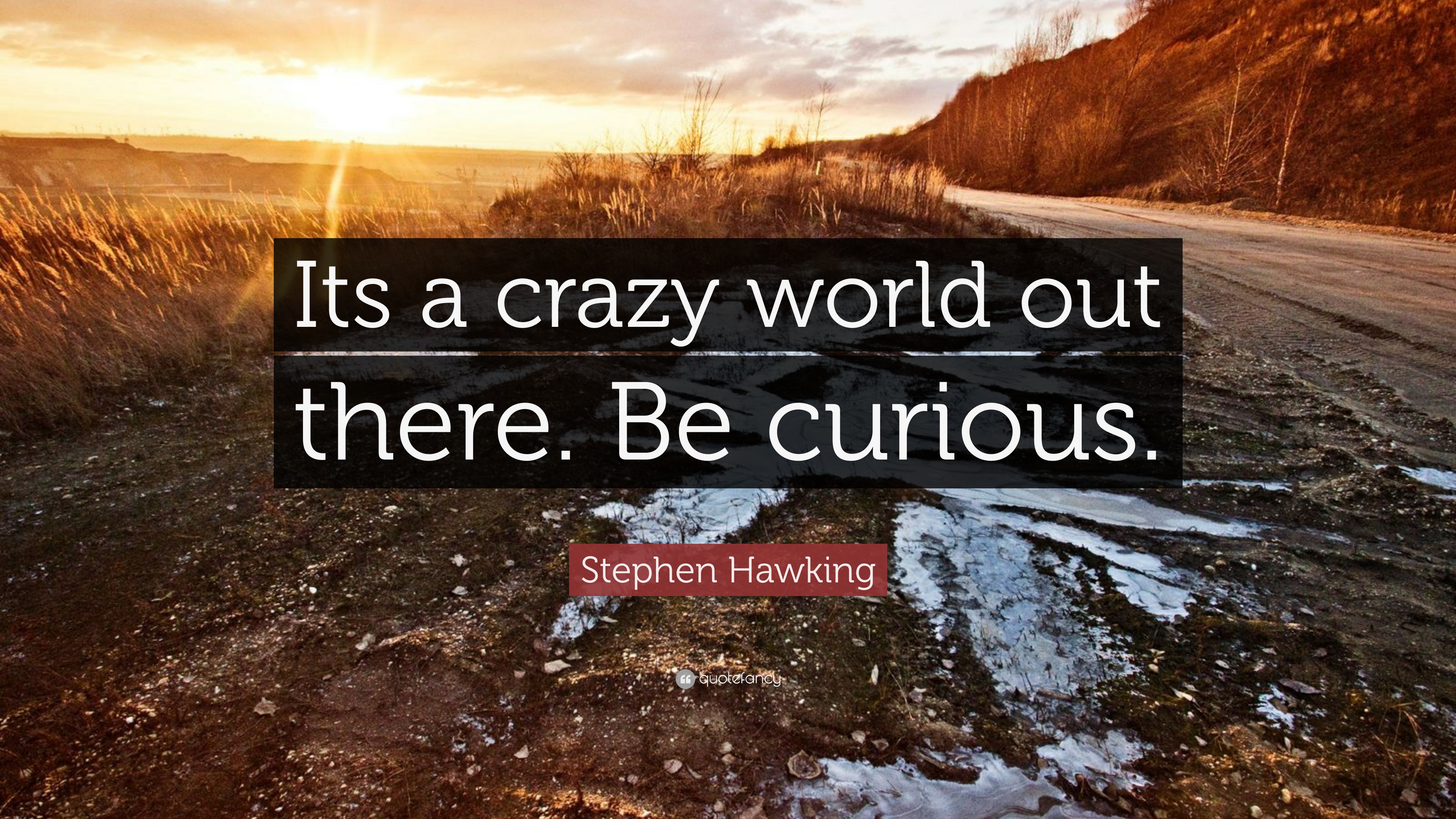 Be curious