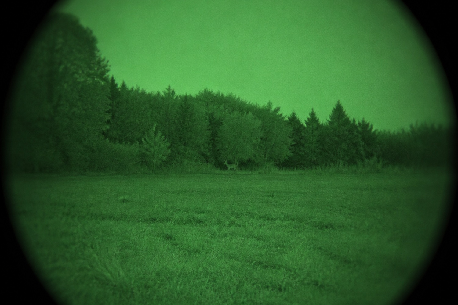 Green-phosphor night vision field of view