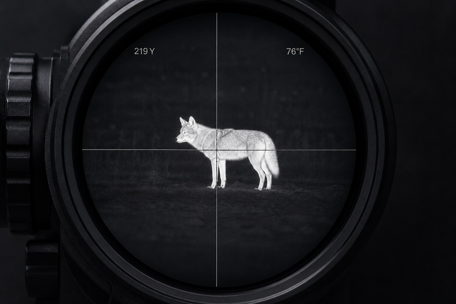 Thermal display view through the X-Vision Impact 150