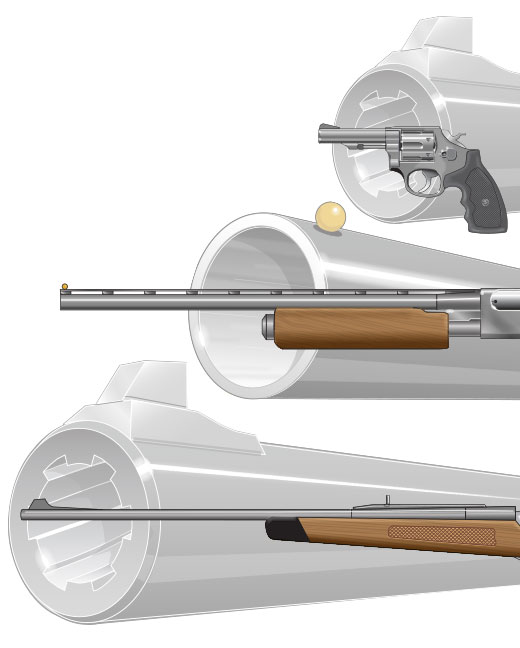 Rifle vs Shotgun? First Time Gun Buyer