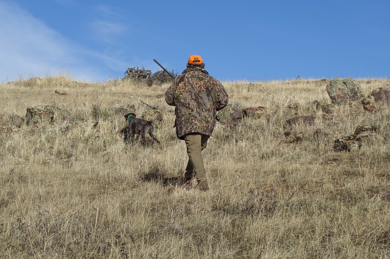 Can hunting save you money?
