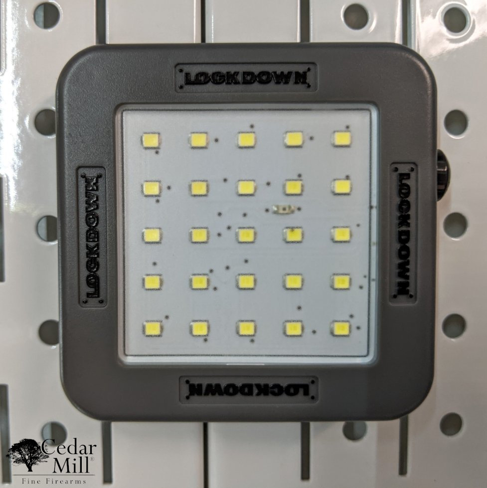  Lockdown - Automatic Cordless 25 LED Vault Light