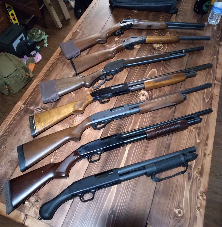 Variety of shotguns aligned