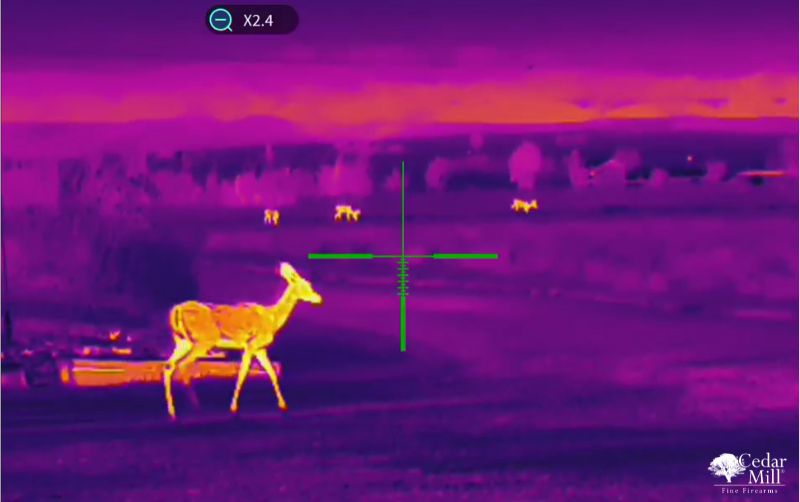 X-Vision Impact 150 Thermal Scope - Advanced Thermal Imaging and Hotspot Tracking for Hunting Being Used To View Deer at X2.4 Magnification